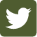 icon-twiiter.png